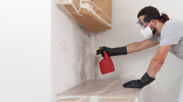 Professional Commercial Mold Remediation technician working in Garrett, WA