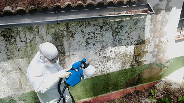 Top rated local Commercial Mold Remediation specialists in Garrett, WA